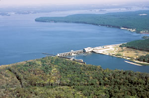 Although average discharge from the Flint River Basin is about 25 percent less than that from the Chattahoochee, its flow is an essential component of reservoir storage for Lake Seminole—the terminal point of the Flint River. Photo by Richard T. Bryant. Email richard_t_bryant@mindspring.com